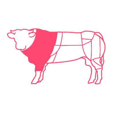 sica carni anteriore 5 costole