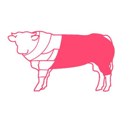 sica carni posteriore con pancia